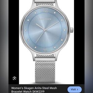 Skagen Blue Dial with Silver Mesh Band Watch